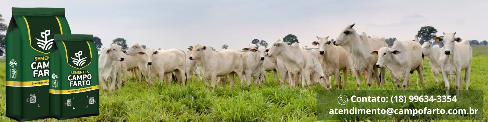 Sementes Campo Farto