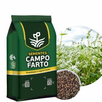 7 Kg Semente De Trigo Mourisco/trigo Sarraceno Campo Farto