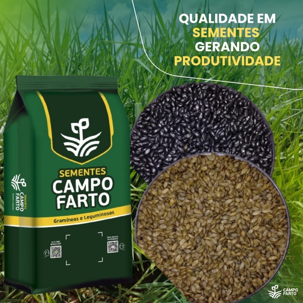 10Kg Panicum maximum cv. Massai Incrustada.