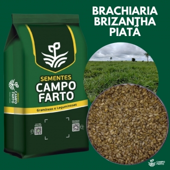 20kg Semente Brachiaria Brizhanta BRS Piatã Convencional