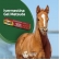 Ivermectina Gel Matsuda- 6g -(Kit C/12 Unidades)