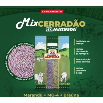 Semente Mix Cerradão (mg13 Braúna+mg4+ Marandu) 20kg Matsuda