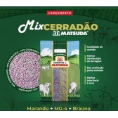 Semente Mix Cerradão (mg13 Braúna+mg4+ Marandu) 20kg Matsuda