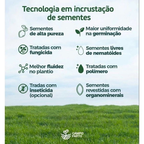 20 kg Semente Incrustada Capim Mg12 Paredão Matsuda