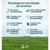 20 kg Semente Incrustada Capim Mg12 Paredão Matsuda