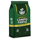 10kg De Semente De Capim Aruana
