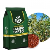 10kg Sementes De Feijão Guandu Anão