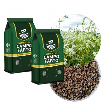 10 Kg Semente De Trigo Mourisco/trigo Sarraceno Campo Farto