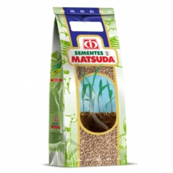 Semente Incrustada Brachiaria Piatã Matsuda 20kg