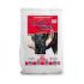 Núcleo Fêmeas Leiteiras Bovinos De Leite Top Milk Matsuda