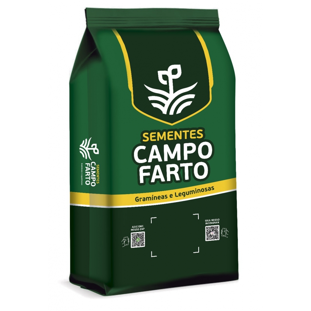 10kg Semente Panicum maximum cv. Mombaça Incrustada