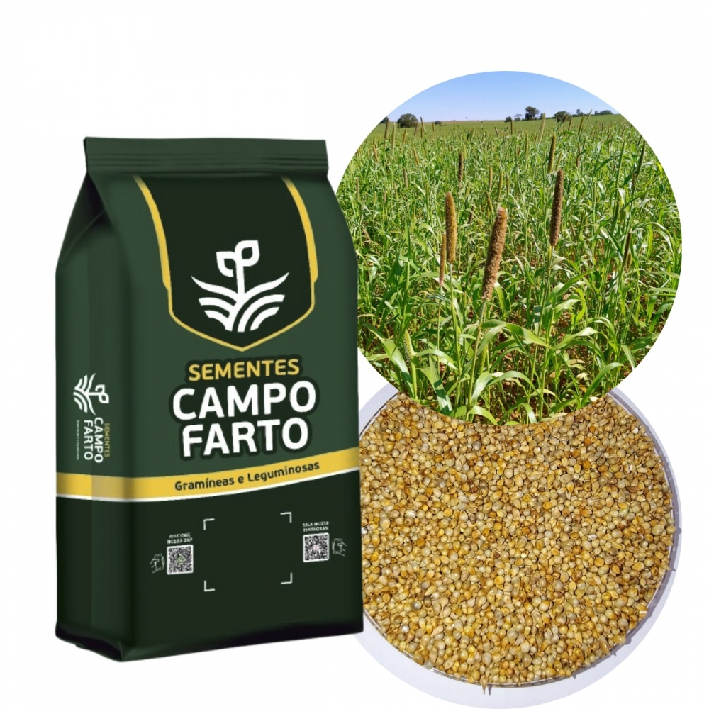 10 kg de Sementes Milheto Brs 1501 Campo Farto