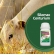 Kit C/3 Inoculante Para Silagem De Capim Matsuda Gold- 200g