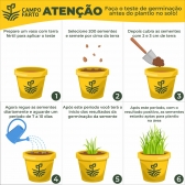 5 kg Semente Brachiaria Brizhanta MG-5 Convencional