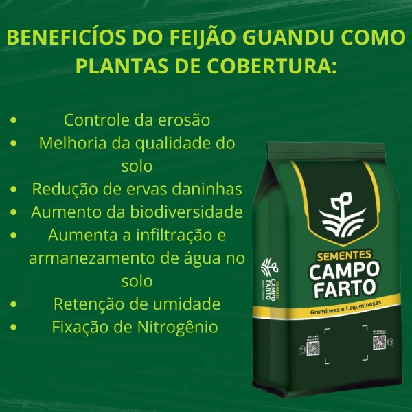 10kg Sementes De Feijão Guandu Anão