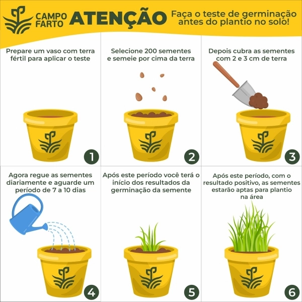 10kg De Semente De Capim Aruana