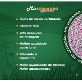 Semente Mix Cerradão (mg13 Braúna+mg4+ Marandu) 20kg Matsuda