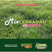 Semente Mix Cerradão (mg13 Braúna+mg4+ Marandu) 20kg Matsuda