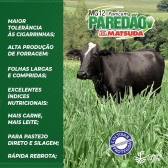 MG 12 Paredão Matsuda 20 kg (Kit c/ 2 sacos de 10Kg cada)