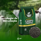 Semente Brachiaria Brizhanta MG -5 / xaraés Incrustada 10 Kg