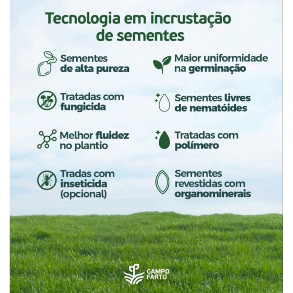 100 kg de Semente MG 12 Paredão incrustada