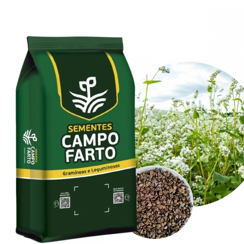 1 Kg Semente De Trigo Mourisco/trigo Sarraceno Campo Farto