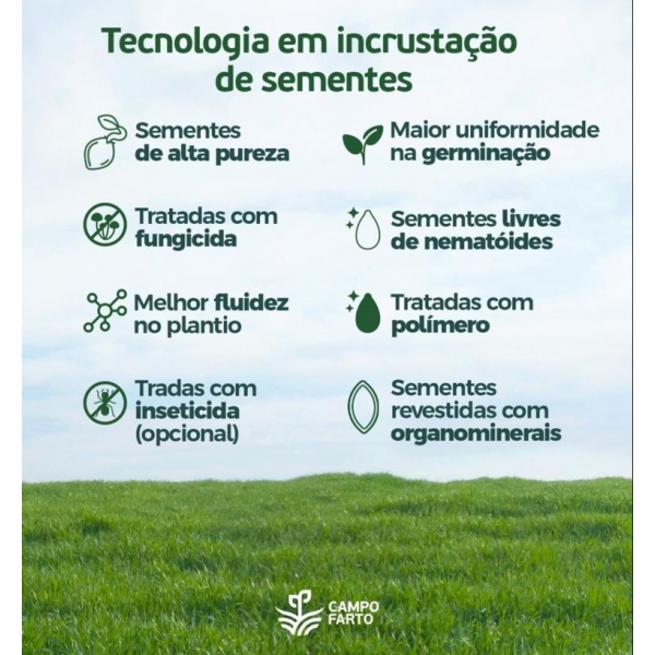 Sementes De Capim Brachiaria  Mg 4 Matsuda- 20kg